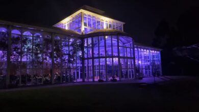 Jardim Botânico de Sorocaba ganhou nova iluminação em alusão ao Novembro Roxo