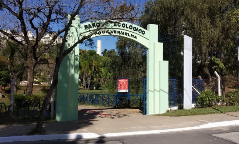 Tema do próximo encontro do Coaves Kids é “Toda ave é um dinossauro?”