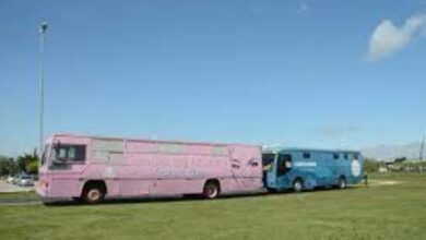 LIBERADA! Agenda do Ônibus Azul e Rosa foi divulgada