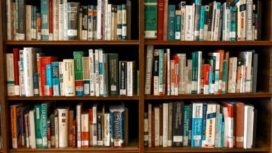 Lançamento de livro na Biblioteca Municipal de Sorocaba PROMETE encantar leitores