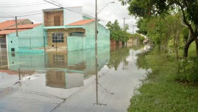 Saae e Prefeitura continuam trabalhos de recuperação do município e apoio social após estragos da chuva