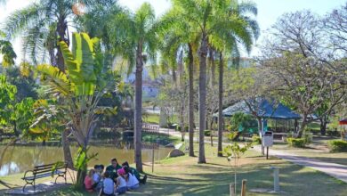 Jardim Botânico terá curso de férias sobre cuidado com a terra