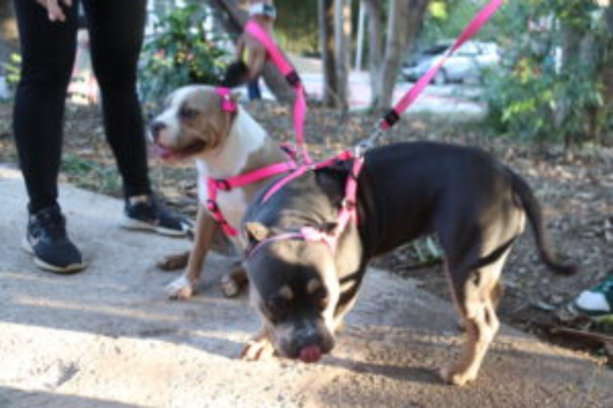 Jardim Paulistano tem praça entregue em evento promovido pela Prefeitura de Sorocaba
