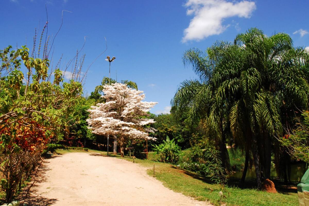 Parque Água Vermelha abre inscrições nesta sexta-feira (12) para curso de férias