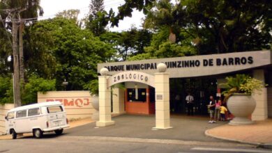 Termina amanhã (27) as inscrições para visitar o zoológico de Sorocaba à noite