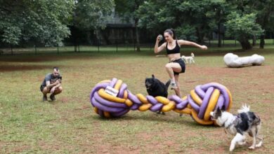 Agora é PRA VALER! Cachorródromo será implantado em Sorocaba ainda em 2024