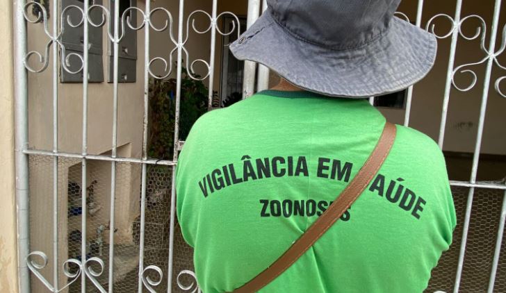 Dia D contra Dengue