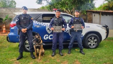 1º Encontro K9 de Sorocaba tem cão guarda como destaque