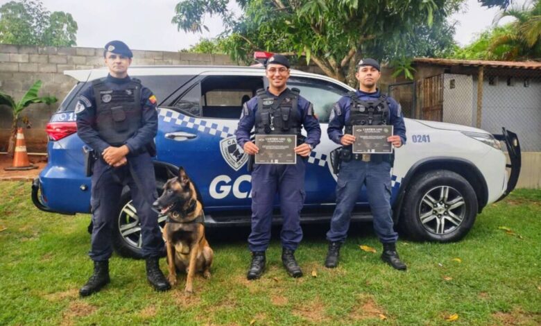 1º Encontro K9 de Sorocaba tem cão guarda como destaque
