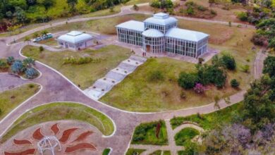 Jardim Botânico prepara eventos gratuitos para este sábado (03)