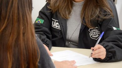 mulheres lei maria da penha