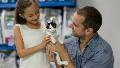 Pátio Cianê Shopping recebe Feira de Adoção de cães e gatos neste sábado (02)