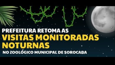 Noite Mágica no Zoo de Sorocaba
