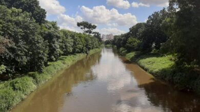 Dia Mundial da Água