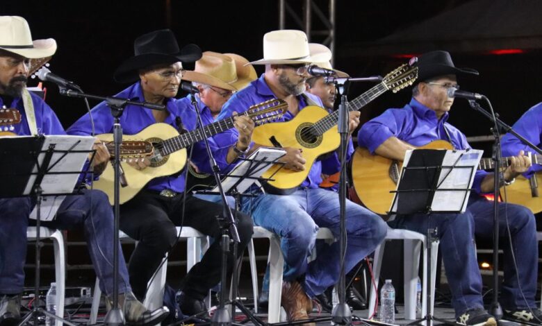Orquestra de Violas está com inscrições abertas para processo seletivo de curso básico de Viola Caipira; processo vai até dia 29