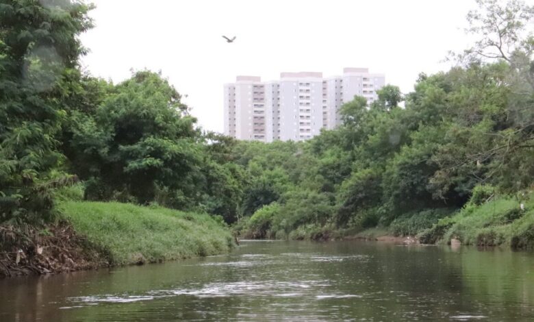 Pesca esportiva no Rio Sorocaba: Prefeitura instala estruturas com bancos e deque para a prática; Ibama tem 2 normativas que viabilizam