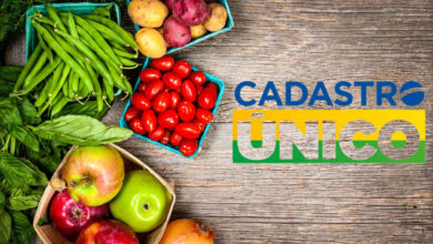 Benefício de R$ 250 CONTEMPLARÁ grupo inscrito no CADÚNICO