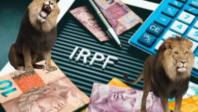 Contribuintes de CPF 1, 2, 3, 4, 5, 6, 7, 8, 9 e 0 devem saber o PASSO A PASSO para baixar o PROGRAMA DE IR 2024