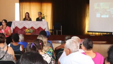projeto semente sorocaba