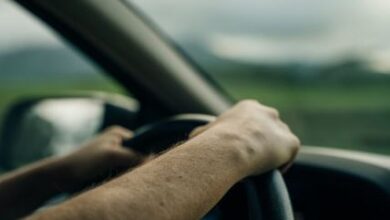 Transferência digital de veículos em 2024: Confira o passo a passo