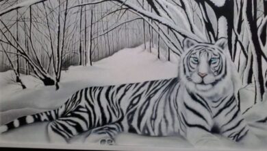 Exposição “Detalhes e Sutilezas” pode ser conferida no Pátio Cianê Shopping a partir de sexta-feira (5)