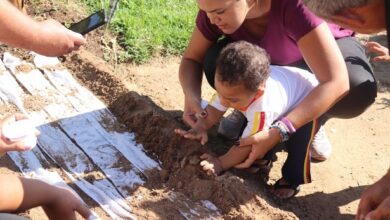 Escola municipal tem projeto de horta comunitária com a participação de professores e mais de 120 alunos no cultivo. (Foto: Rose Campos).