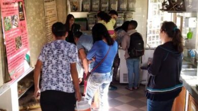 Zoológico Municipal oferece atividade