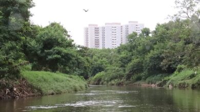 ESGOTO NO RIO SOROCABA: Especialistas alertam sobre QUALIDADE da água em processo de despoluição