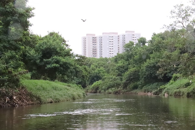 ESGOTO NO RIO SOROCABA: Especialistas alertam sobre QUALIDADE da água em processo de despoluição