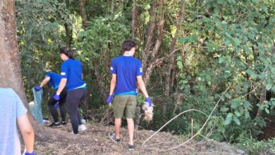 Mais de 30 ÁRVORES NATIVAS são plantadas na Zona Oeste de Sorocaba; ENTENDA A IMPORTÂNCIA
