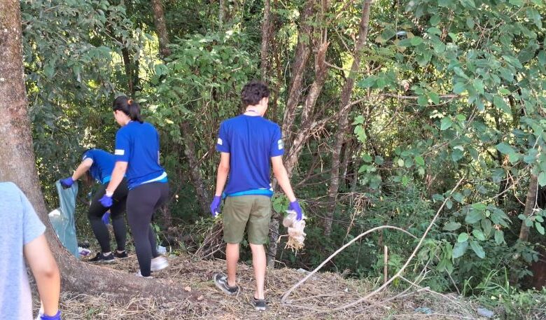 Mais de 30 ÁRVORES NATIVAS são plantadas na Zona Oeste de Sorocaba; ENTENDA A IMPORTÂNCIA