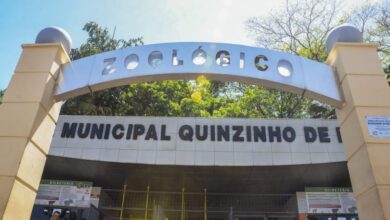 Zoo de Sorocaba tem PROGRAMAÇÃO ESPECIAL neste domingo (28)