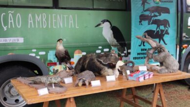 AÇÕES EDUCATIVAS serão realizadas para PREVENIR QUEIMADAS dias 27 e 29/05 em Sorocaba