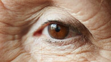 Estudo revela que RISCOS DE ALZHEIMER podem ser detectados pelos OLHOS!; ENTENDA