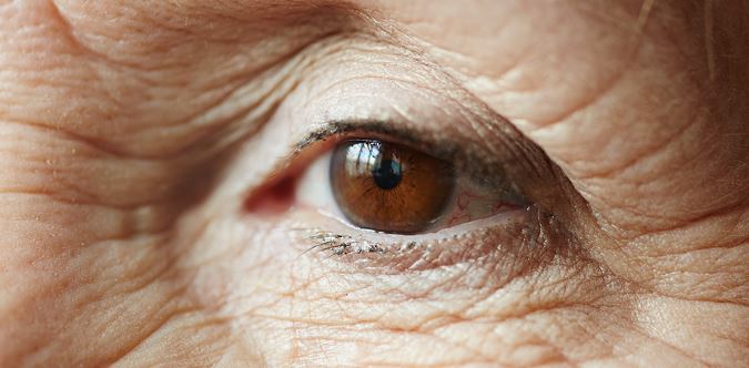 Estudo revela que RISCOS DE ALZHEIMER podem ser detectados pelos OLHOS!; ENTENDA