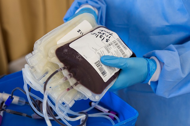 DOAÇÃO DE SANGUE: Banco de Sangue de Sorocaba registra QUEDA de QUASE 30% de doações. (Foto: Ahmad Ardity/Pixabay)
