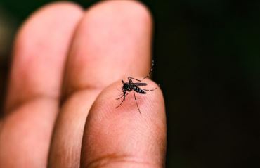vacina COMBATE À DENGUE: Etec's e Fatec's de SP fazem ações contra epidemia; VEJA EM SOROCABA