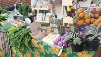 FEIRA AGROECOLÓGICA acontece sábado (01/06) em Sorocaba; VEJA ONDE