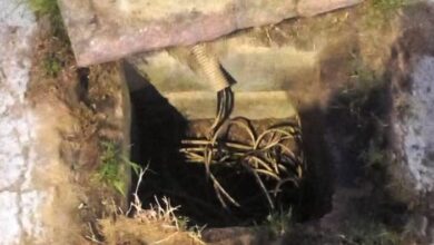 Homem é preso após TENTATIVA DE FURTO em praça em Sorocaba na terça (21)