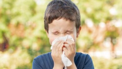 INÉDITO! Pesquisadores fazem DESCOBERTA que pode prevenir GRIPE em 2024