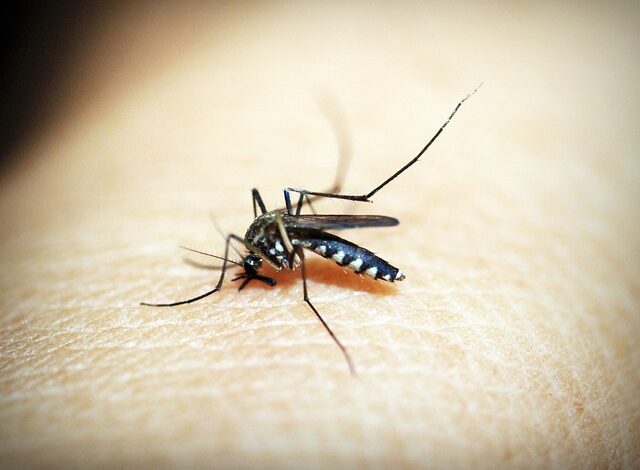 DENGUE EM SOROCABA: Cidade chega a 15 mortes no ano