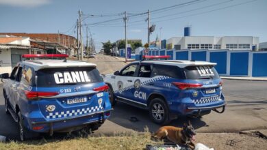 GCM realiza APREENSÃO DE DROGAS no Parque São Bento no sábado (18). (Foto: GCM/Divulgação)