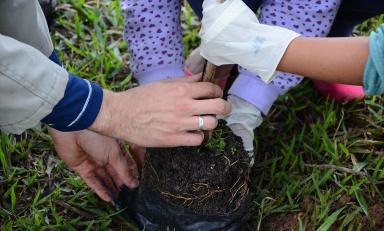 ECOLOGIA: 50 ÁRVORES serão plantadas no Parque São Bento NESTE SÁBADO (5)