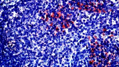 ATENÇÃO, PAIS: Pesquisa revela que Covid-19 PODE PERMANECER em crianças; SAIBA MAIS