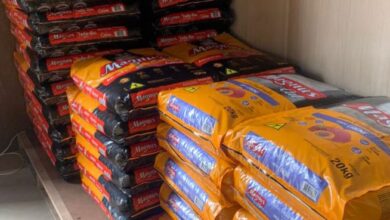 doação de ração em sorocaba solidariedade