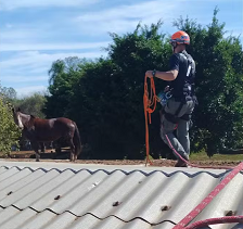 TRAGÉDIA NO RS: Veterinários de SOROCABA participam de RESGATE de animais de grande porte. (Foto: Divulgação).