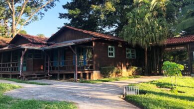 Atividades sobre EDUCAÇÃO AMBIENTAL acontecem neste sábado (8) em Sorocaba