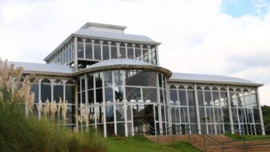 EDUCAÇÃO AMBIENTAL: Jardim Botânico terá VÁRIAS ATIVIDADES no 2º semestre de 2024