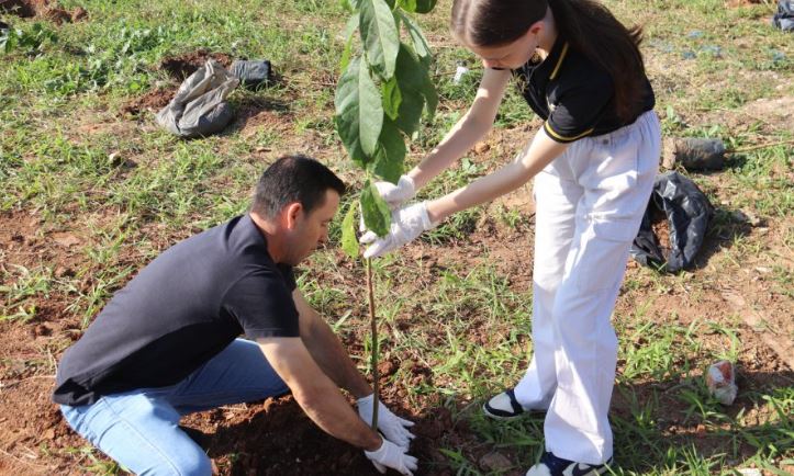 Mais de 3 MIL MUDAS DE ÁRVORES são plantadas em Sorocaba no fim de semana