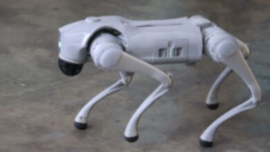 CÃO-ROBÔ? Entenda como funciona novo reforço em Sorocaba divulgado nesta terça (11)